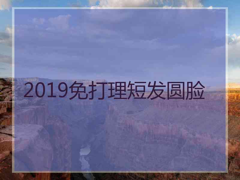 2019免打理短发圆脸