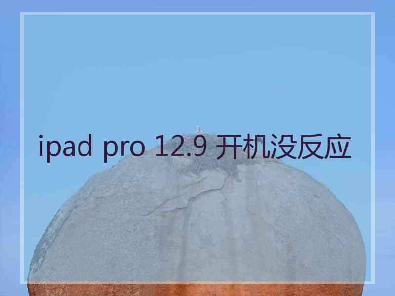 ipad pro 12.9 开机没反应