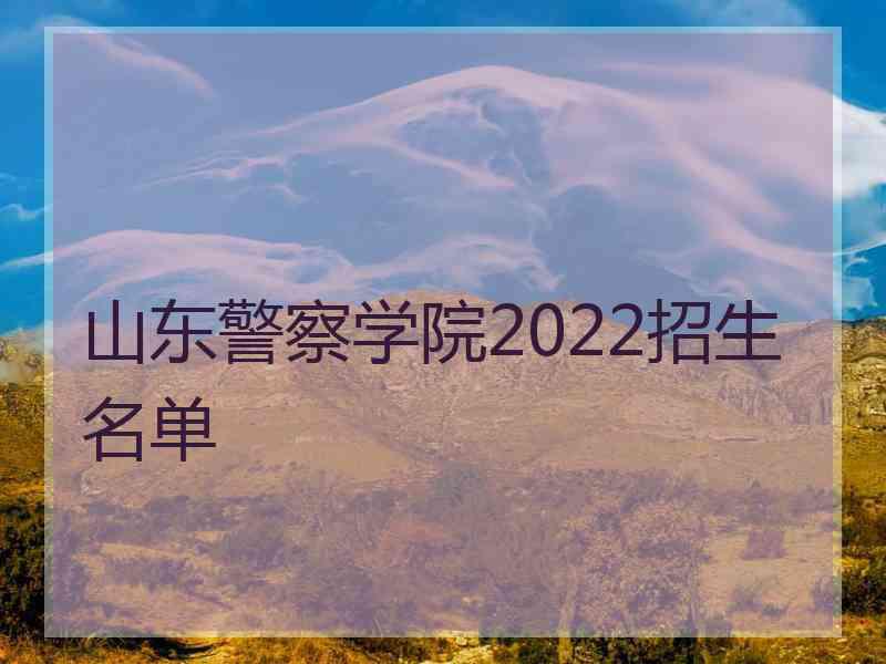 山东警察学院2022招生名单