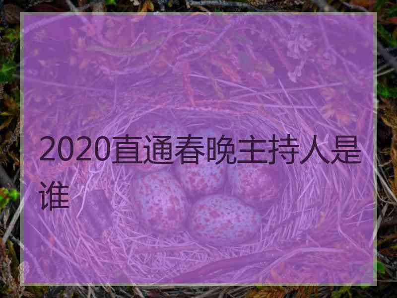 2020直通春晚主持人是谁