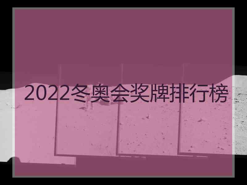 2022冬奥会奖牌排行榜