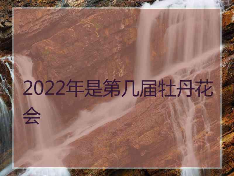 2022年是第几届牡丹花会