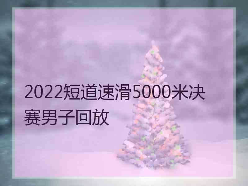 2022短道速滑5000米决赛男子回放