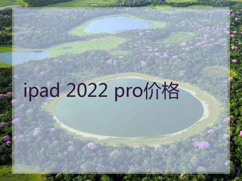 ipad 2022 pro价格