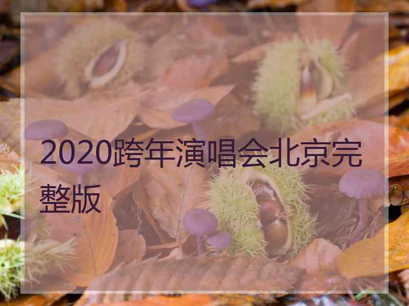 2020跨年演唱会北京完整版