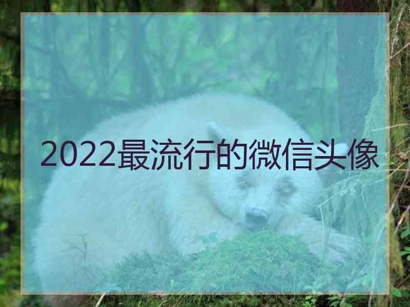 2022最流行的微信头像