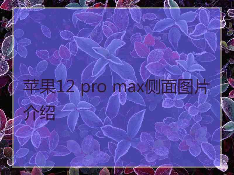 苹果12 pro max侧面图片介绍