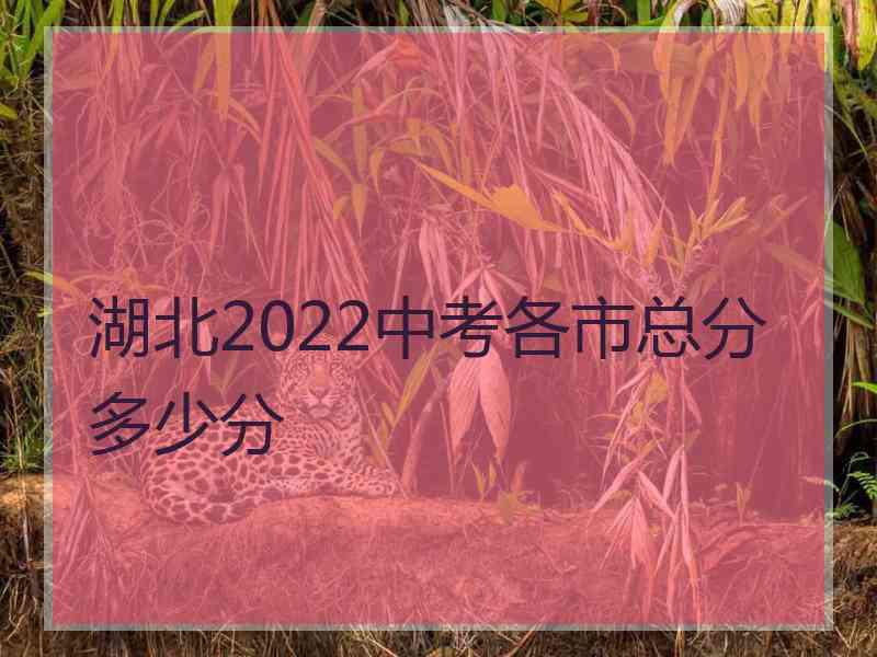 湖北2022中考各市总分多少分