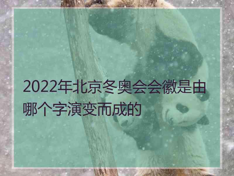 2022年北京冬奥会会徽是由哪个字演变而成的