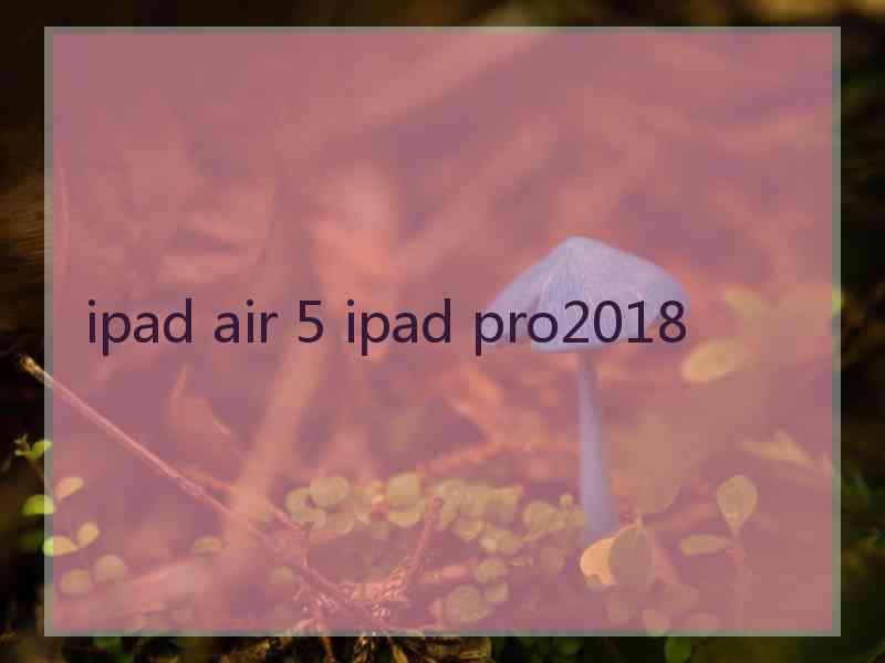 ipad air 5 ipad pro2018