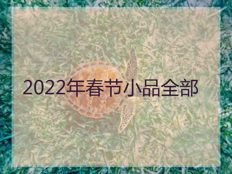 2022年春节小品全部