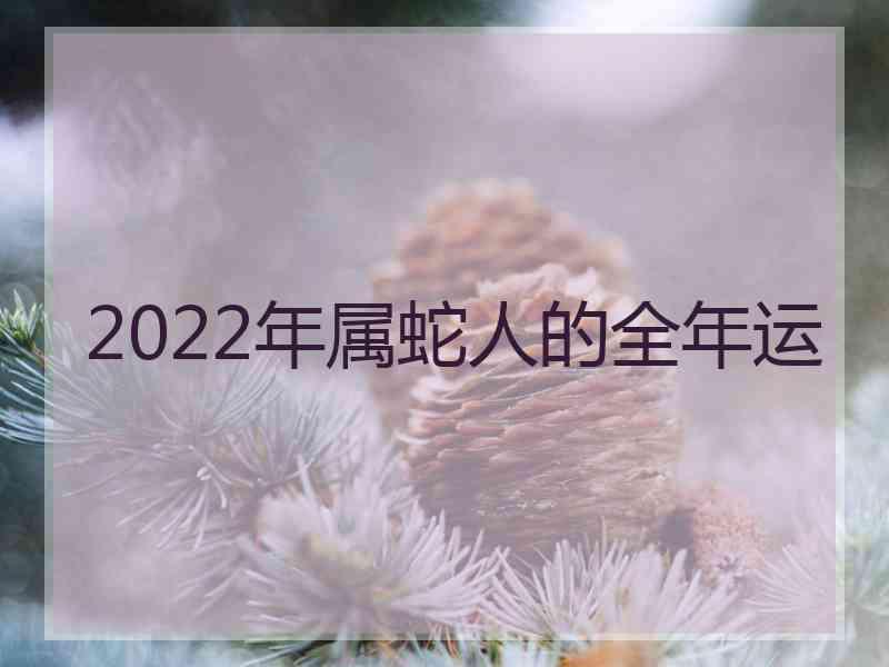 2022年属蛇人的全年运