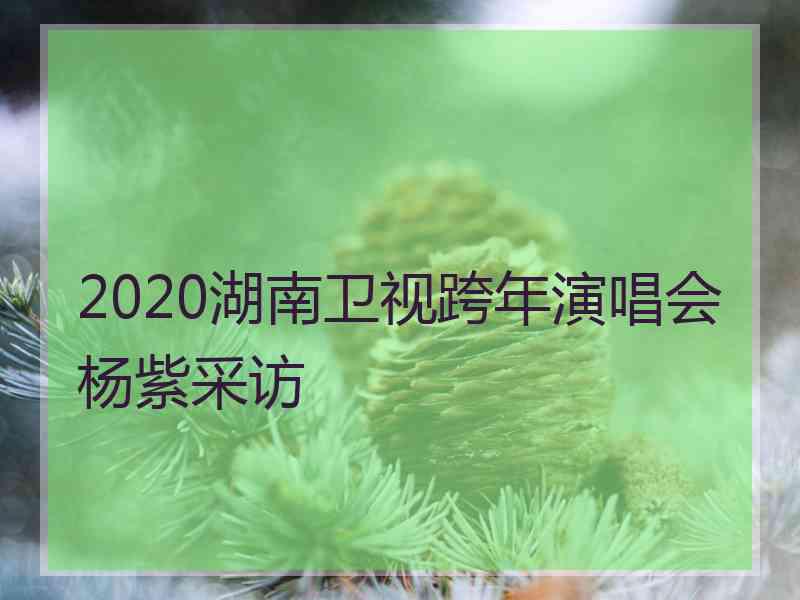 2020湖南卫视跨年演唱会杨紫采访