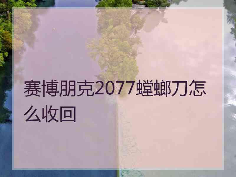 赛博朋克2077螳螂刀怎么收回