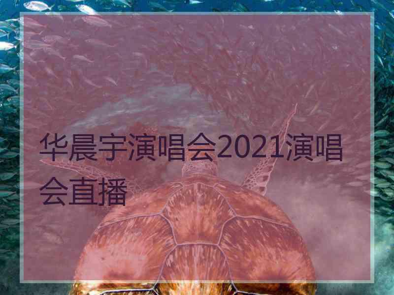 华晨宇演唱会2021演唱会直播