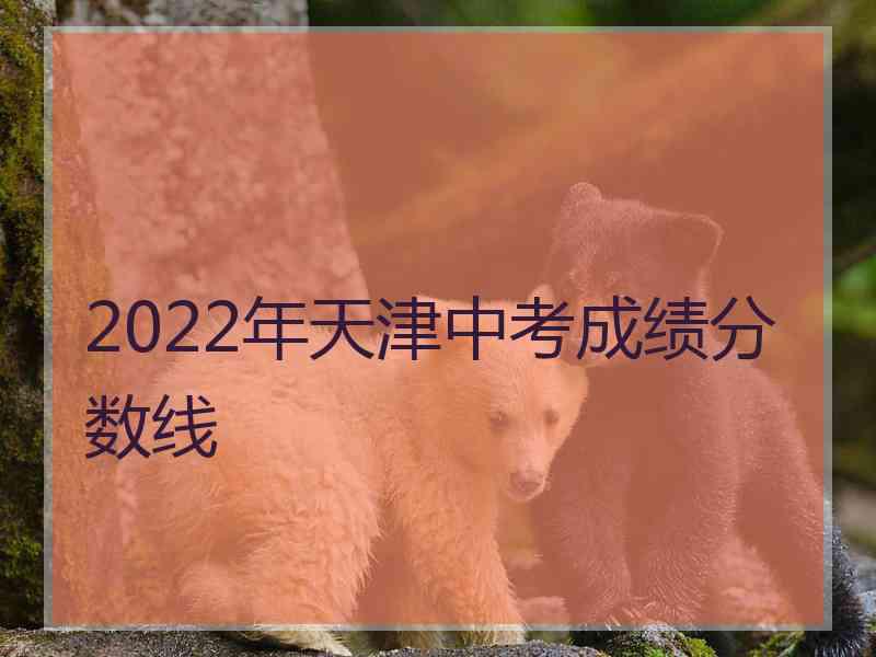 2022年天津中考成绩分数线