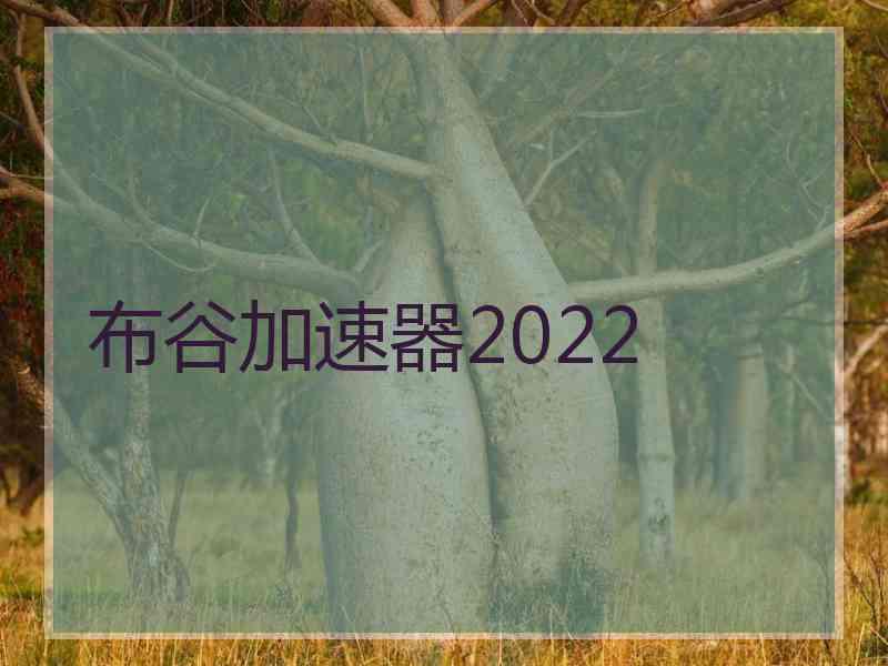 布谷加速器2022