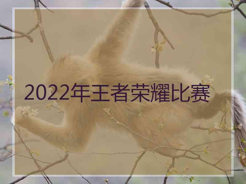 2022年王者荣耀比赛