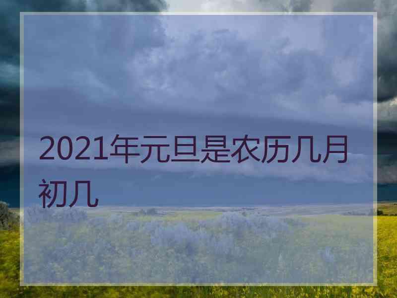 2021年元旦是农历几月初几