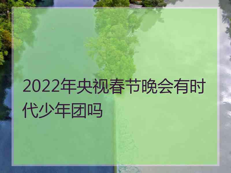 2022年央视春节晚会有时代少年团吗