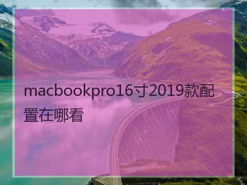 macbookpro16寸2019款配置在哪看