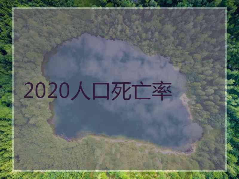 2020人口死亡率