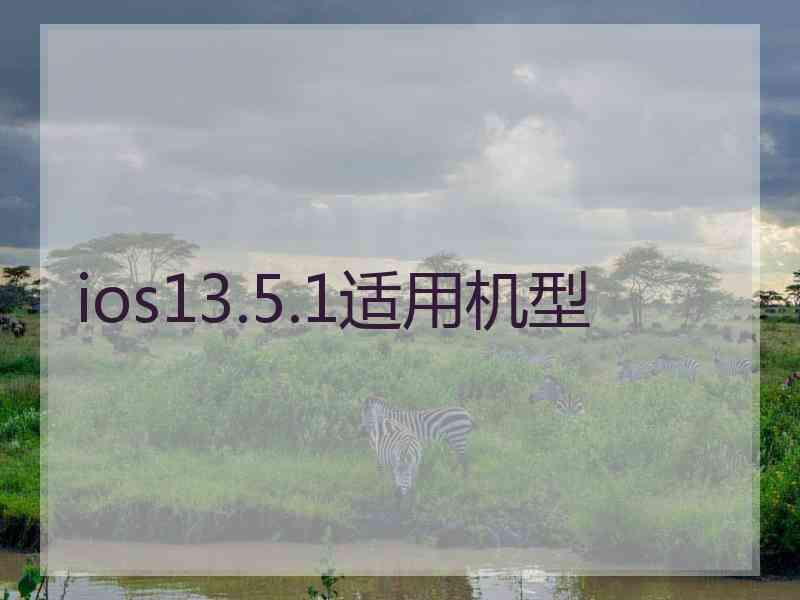 ios13.5.1适用机型