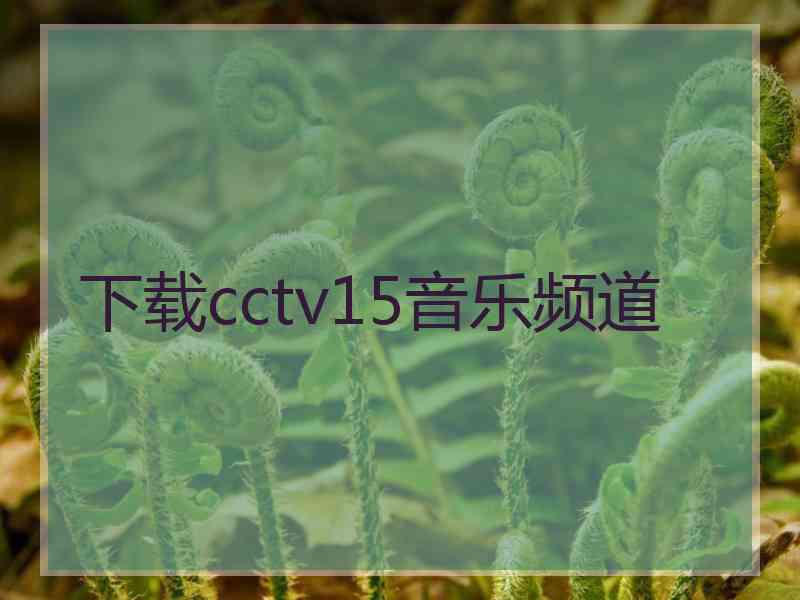 下载cctv15音乐频道