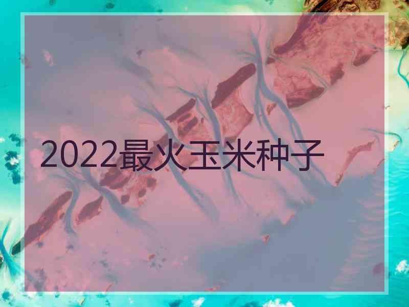 2022最火玉米种子