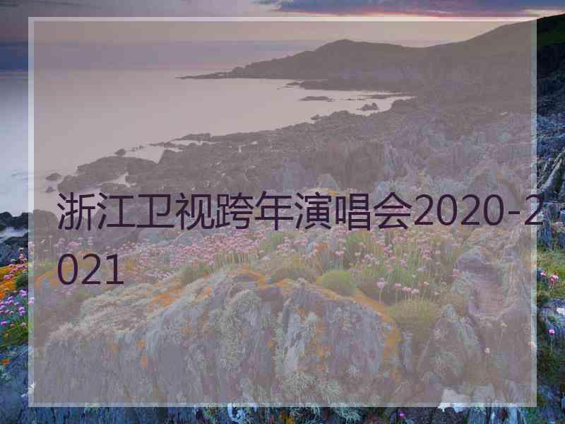 浙江卫视跨年演唱会2020-2021