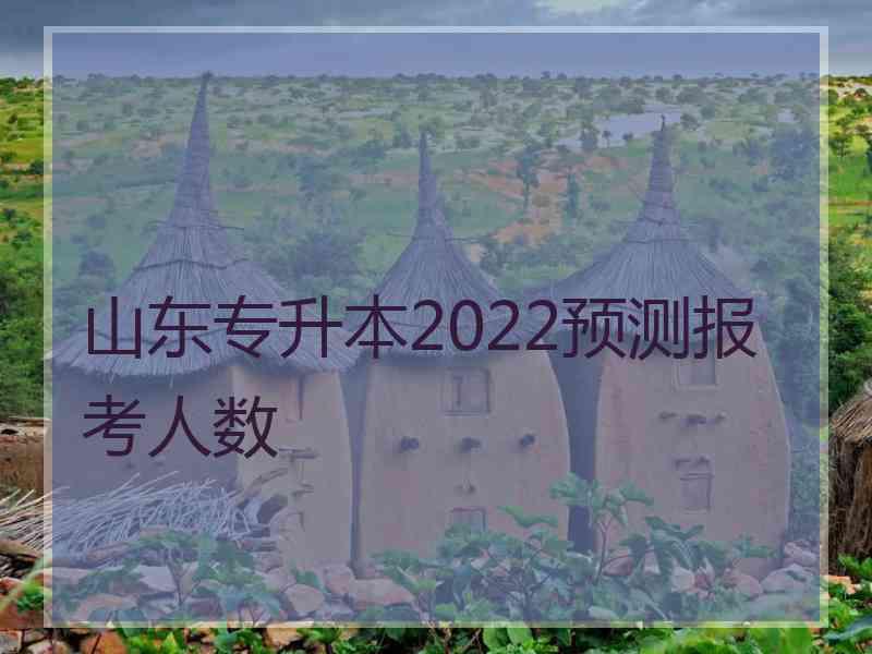 山东专升本2022预测报考人数