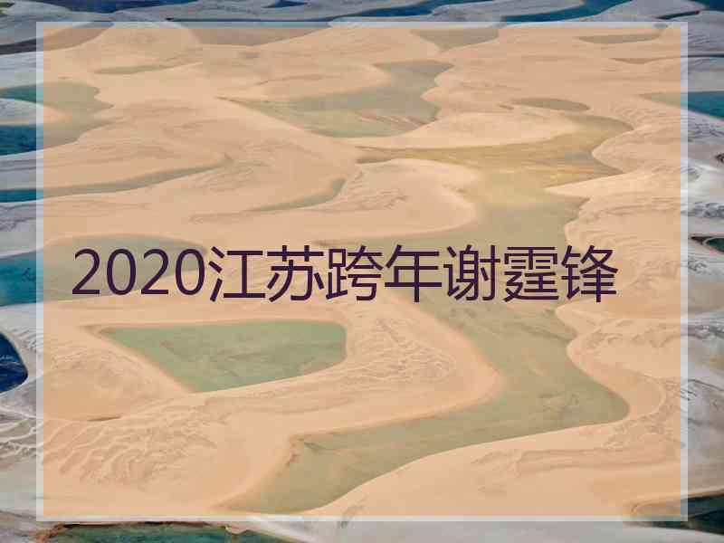 2020江苏跨年谢霆锋