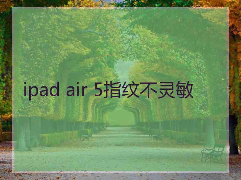 ipad air 5指纹不灵敏