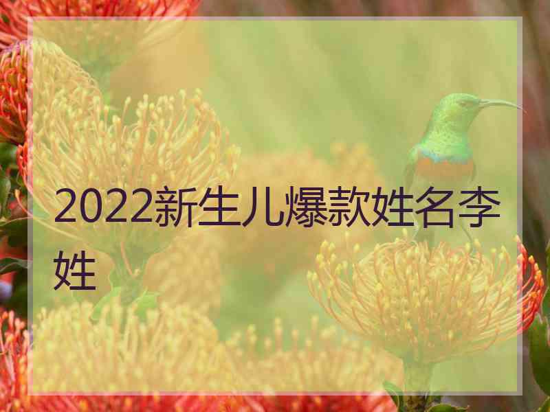 2022新生儿爆款姓名李姓