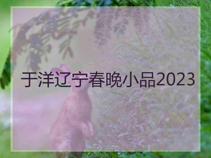 于洋辽宁春晚小品2023