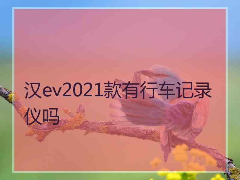 汉ev2021款有行车记录仪吗