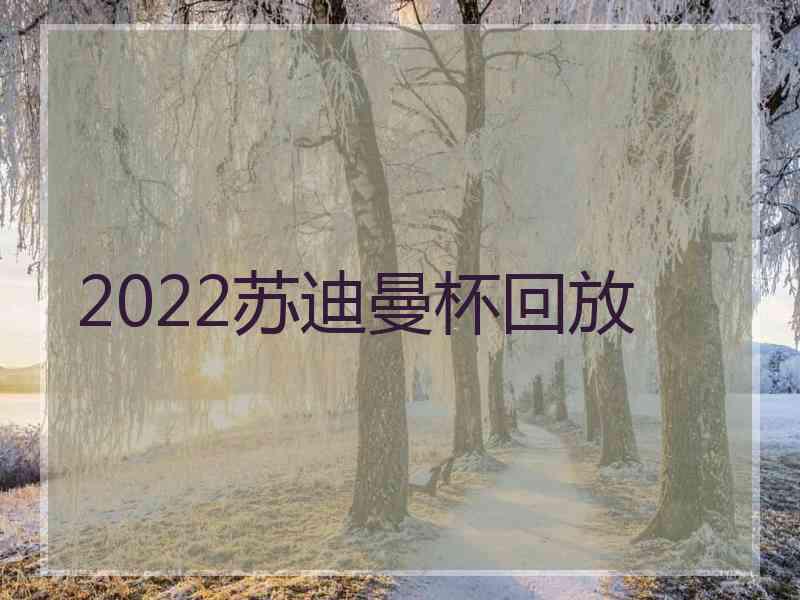 2022苏迪曼杯回放