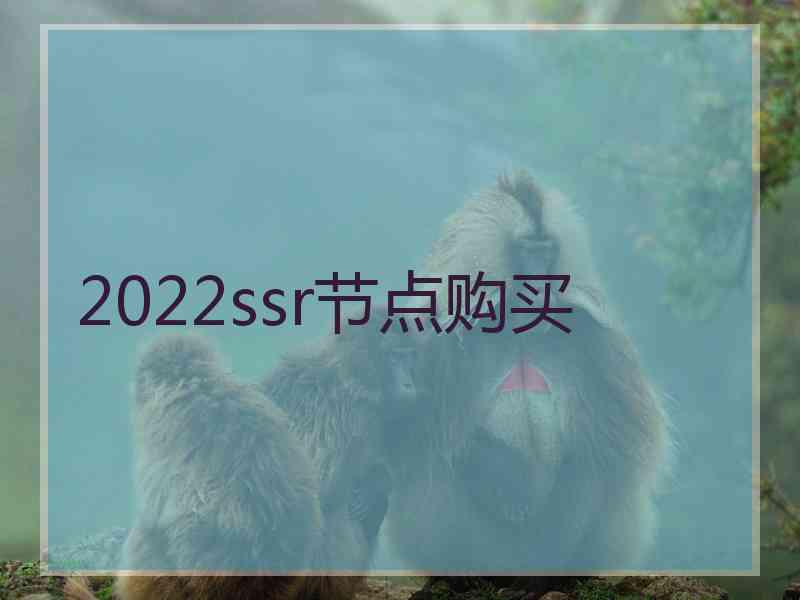 2022ssr节点购买