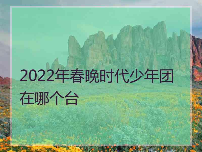 2022年春晚时代少年团在哪个台