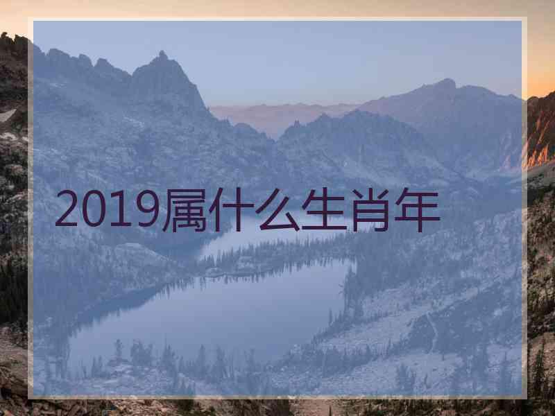 2019属什么生肖年