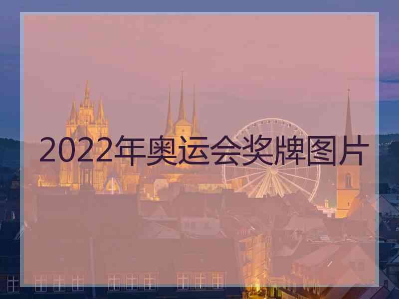 2022年奥运会奖牌图片