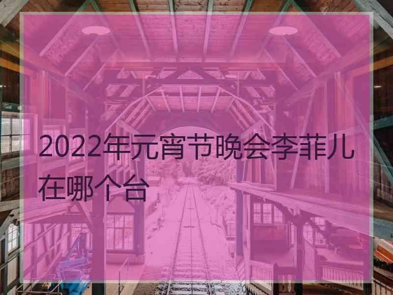 2022年元宵节晚会李菲儿在哪个台