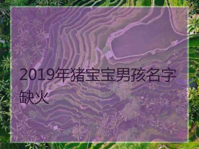 2019年猪宝宝男孩名字缺火