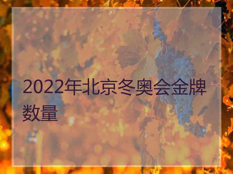 2022年北京冬奥会金牌数量