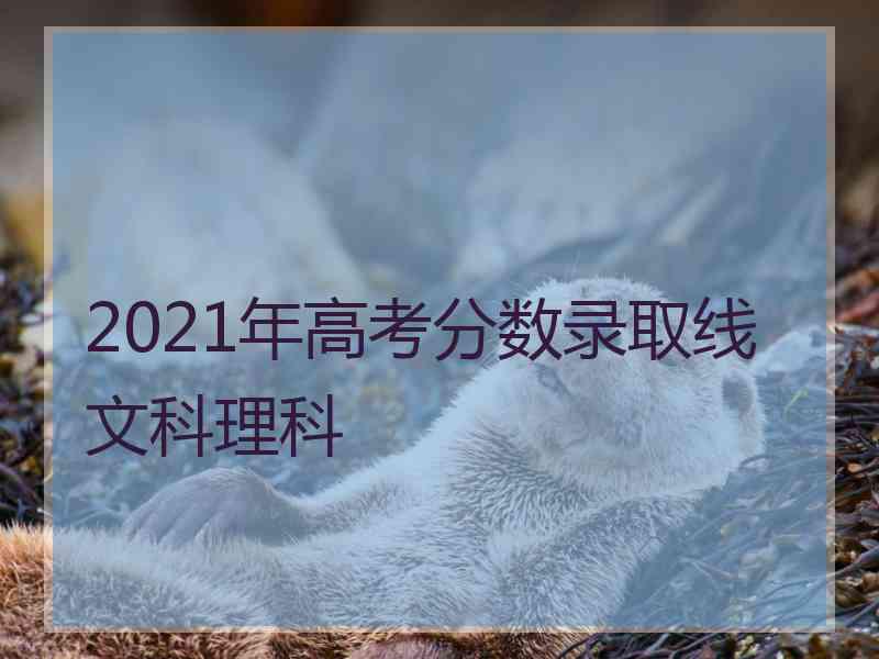 2021年高考分数录取线文科理科