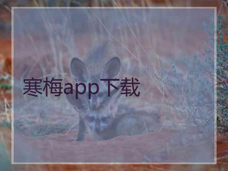 寒梅app下载