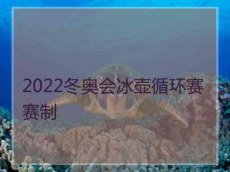 2022冬奥会冰壶循环赛赛制