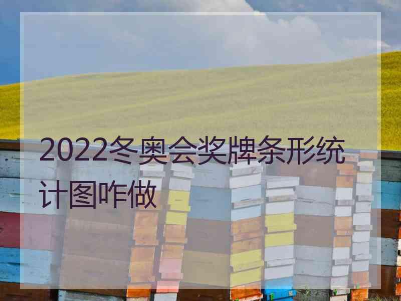 2022冬奥会奖牌条形统计图咋做