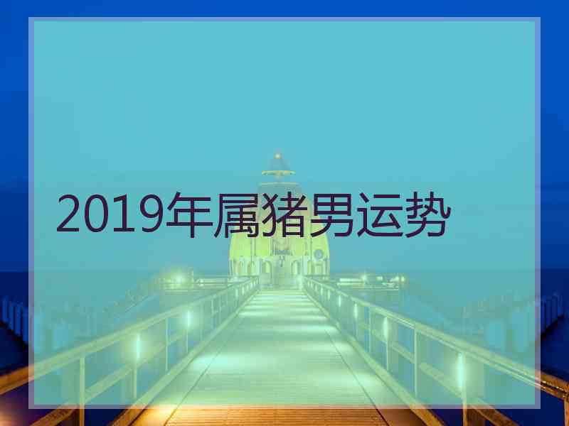 2019年属猪男运势