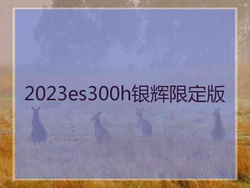 2023es300h银辉限定版